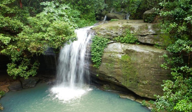 Buderim Forest Hideaway