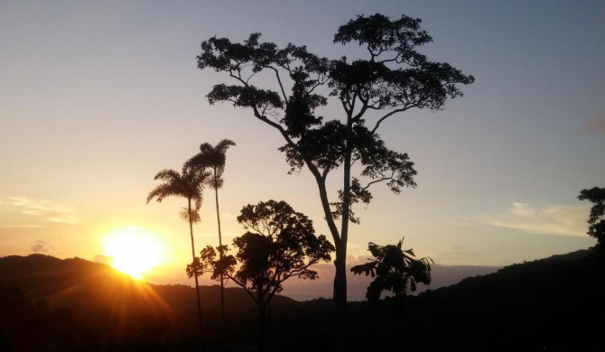 Daintree Holiday Homes - Yurara