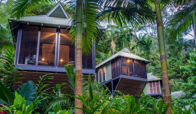 Daintree Ecolodge