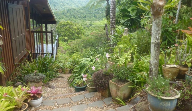 Daintree Holiday Homes - The Folly