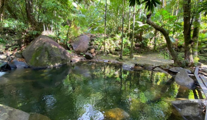 Daintree Secrets Rainforest Sanctuary