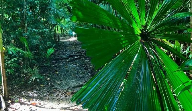 Lync Haven Rainforest Retreat