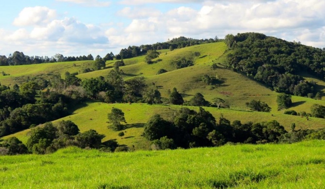 Maleny Springs Farm