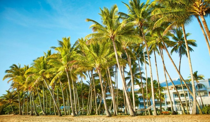 Alamanda Palm Cove by Lancemore