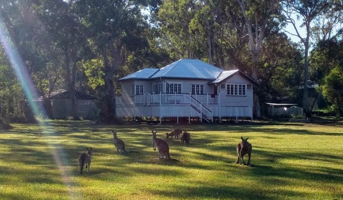 Lake Weyba Noosa Lodge & Kangaroos