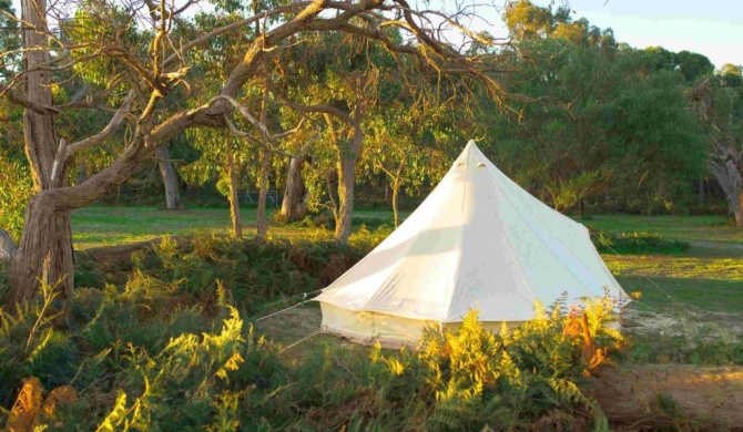 Coonawarra Bush Holiday Park