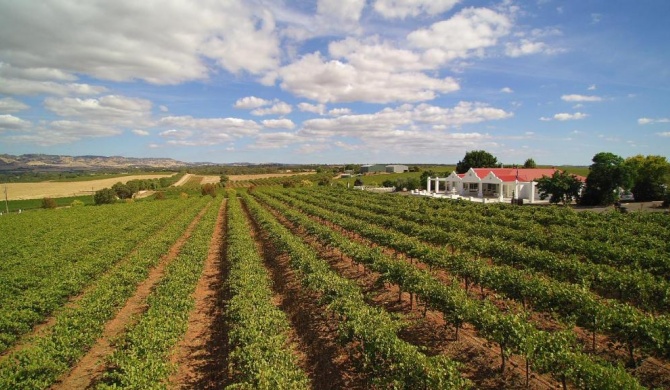 1837 Barossa Luxury Vineyard Cottages